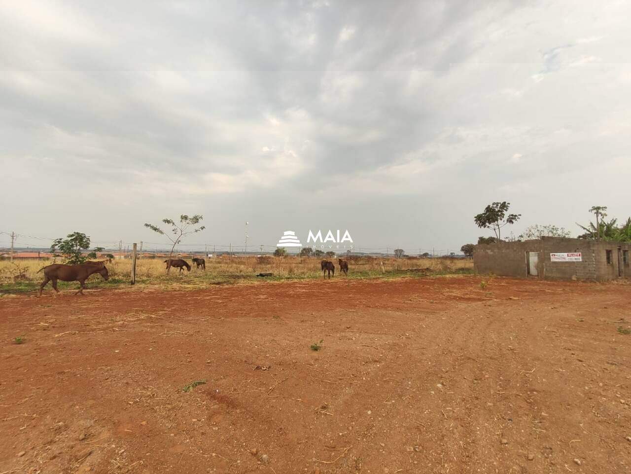 Terreno/Área à venda no Jardim Santa Clara: 