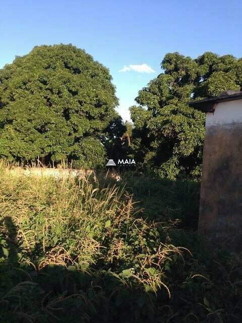Terreno/Área à venda no Recreio dos Bandeirantes: 