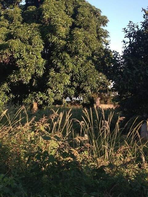 Terreno/Área à venda no Recreio dos Bandeirantes: 