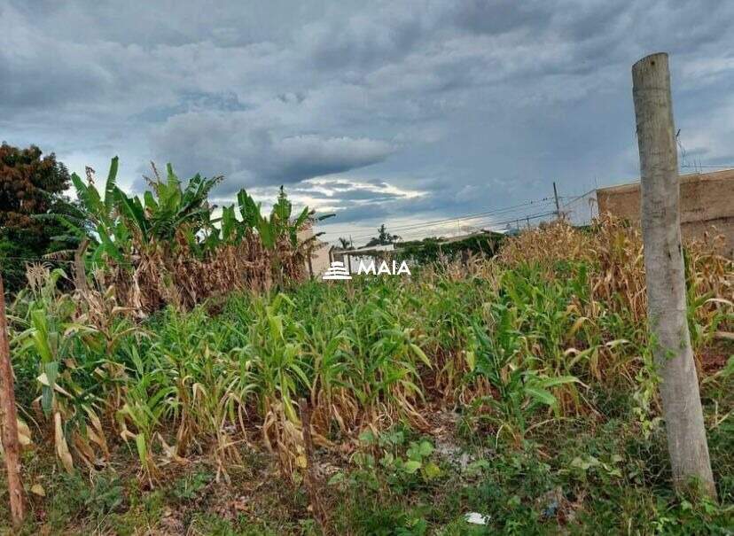 Terreno/Área à venda no Pontal: 