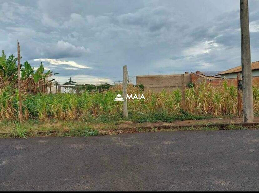 Terreno/Área à venda no Pontal: 