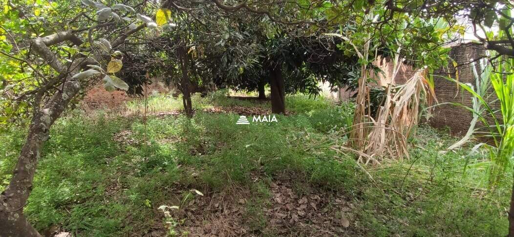 Terreno/Área à venda no Santa Maria: 