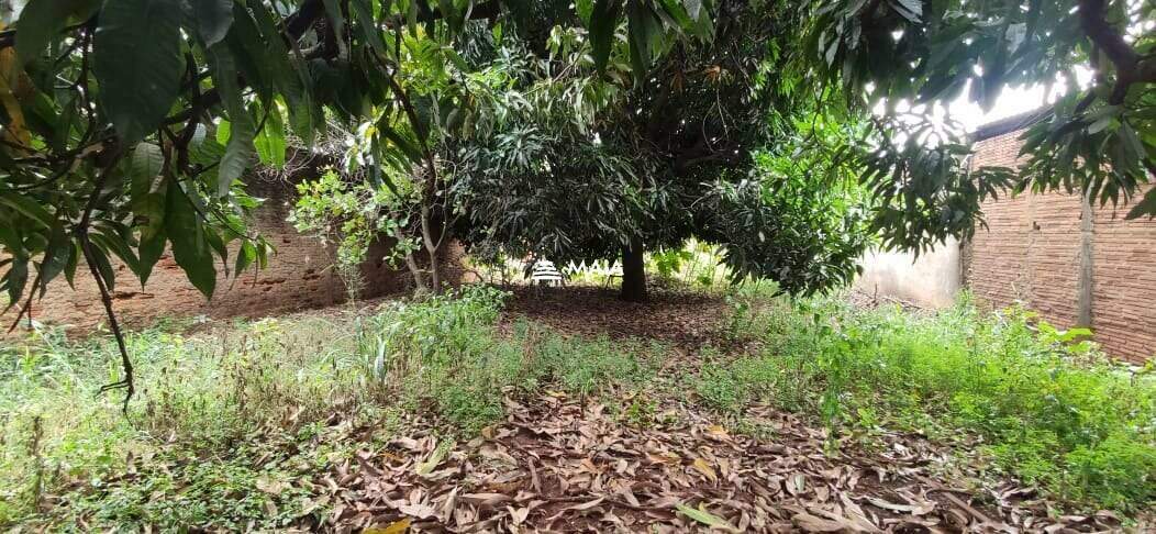 Terreno/Área à venda no Santa Maria: 