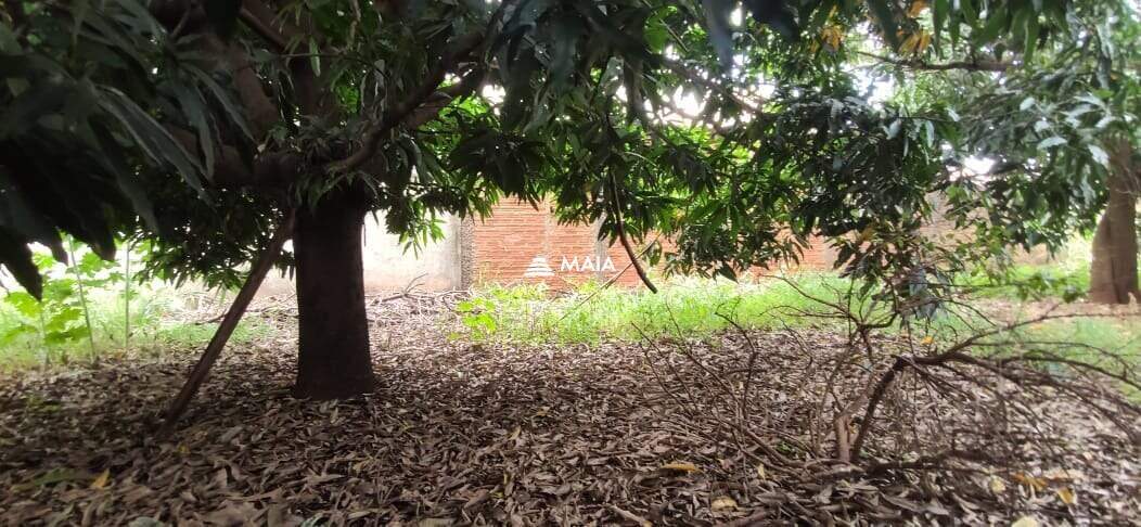 Terreno/Área à venda no Santa Maria: 