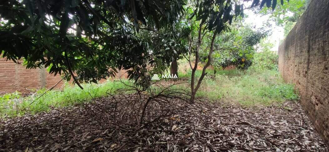 Terreno/Área à venda no Santa Maria: 