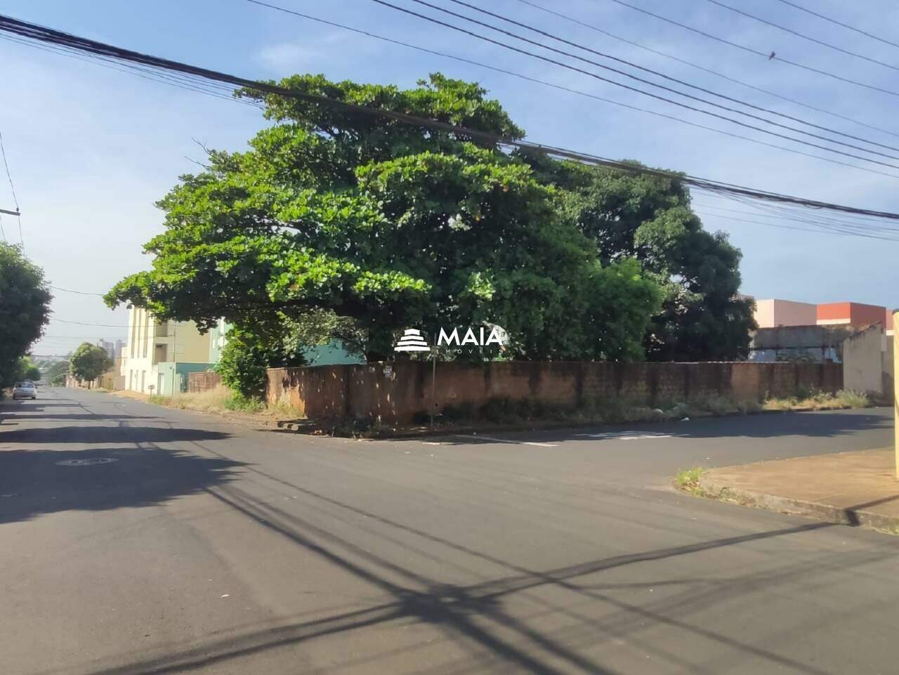 Terreno/Área à venda no Santa Maria: 