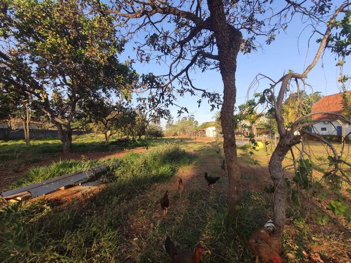 Terreno em Condomínio à venda no Jockey Park: 