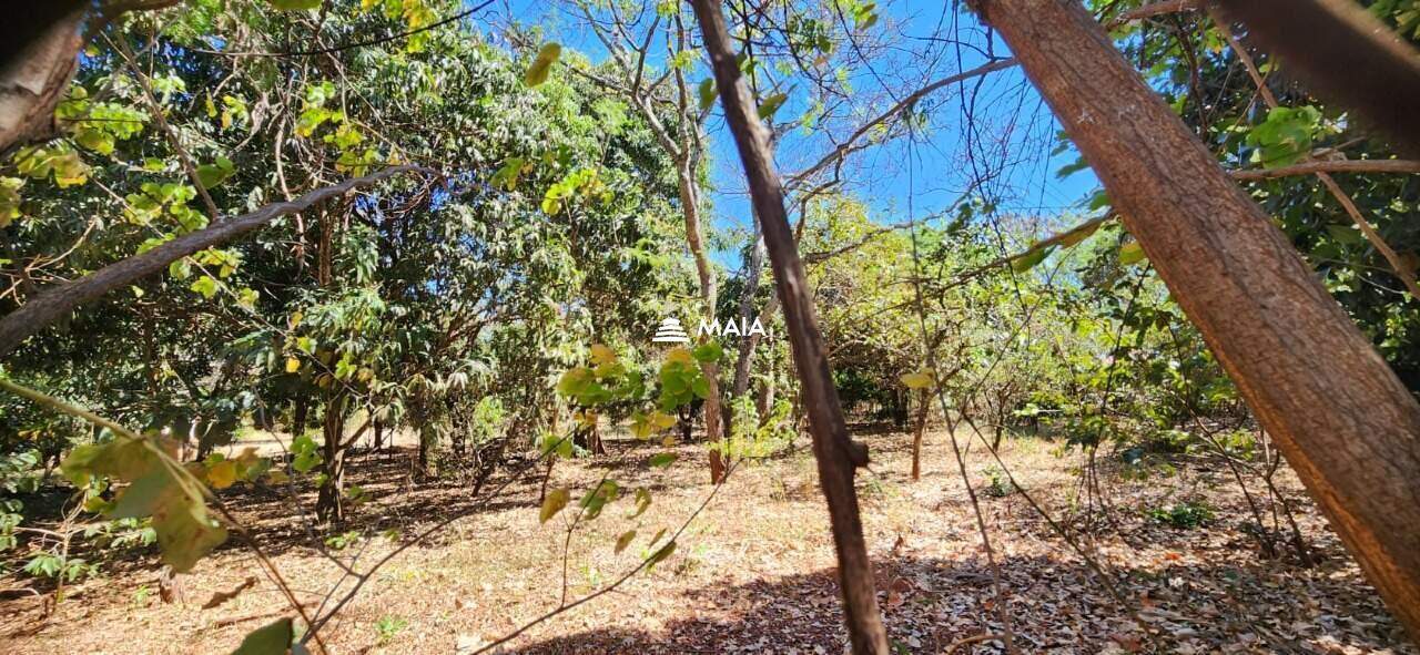 Terreno em Condomínio à venda no Jockey Park: 