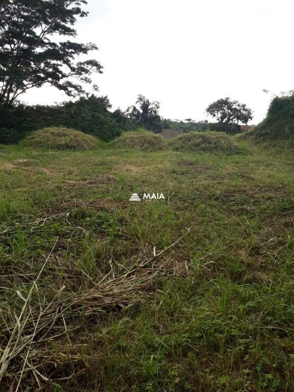 Terreno/Área à venda no Jardim São Bento: 