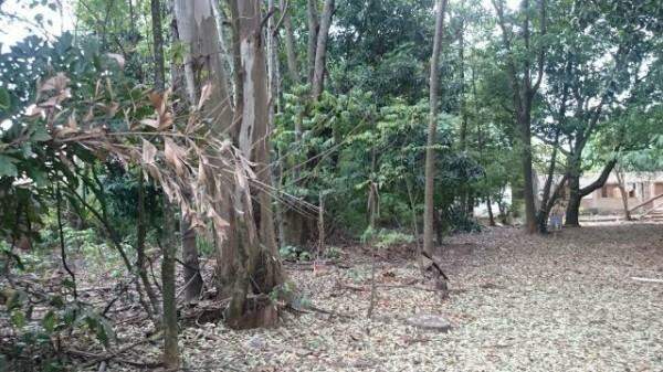 Terreno/Área à venda no Estados Unidos: 