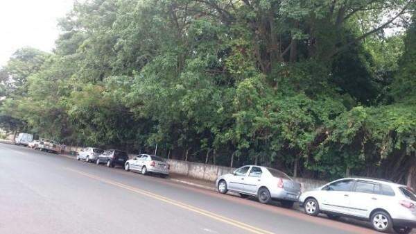 Terreno/Área à venda no Estados Unidos: 