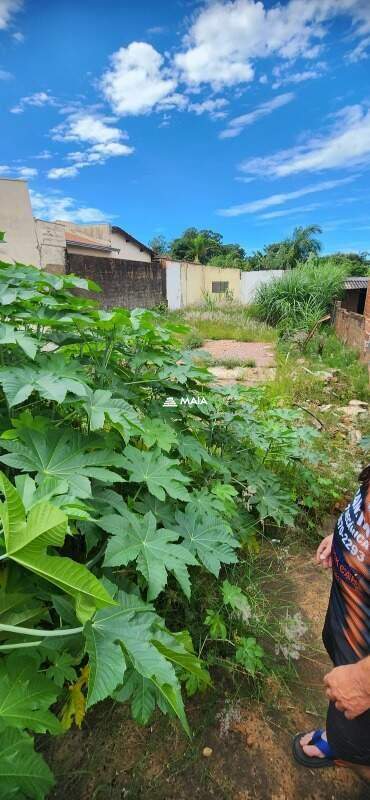 Terreno/Área à venda no Fabrício: 