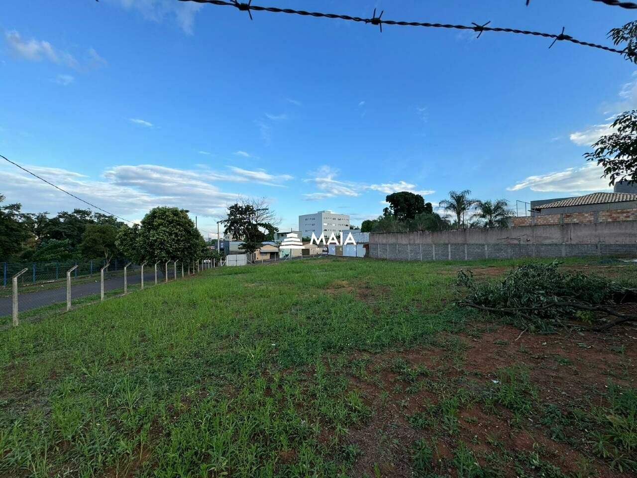 Terreno/Área para aluguel no Santa Maria: 