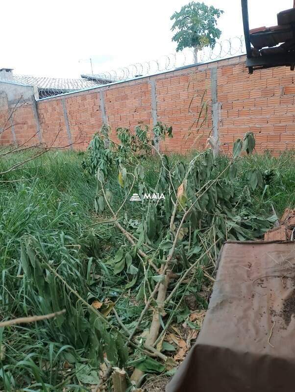 Terreno/Área à venda no Fabrício: 