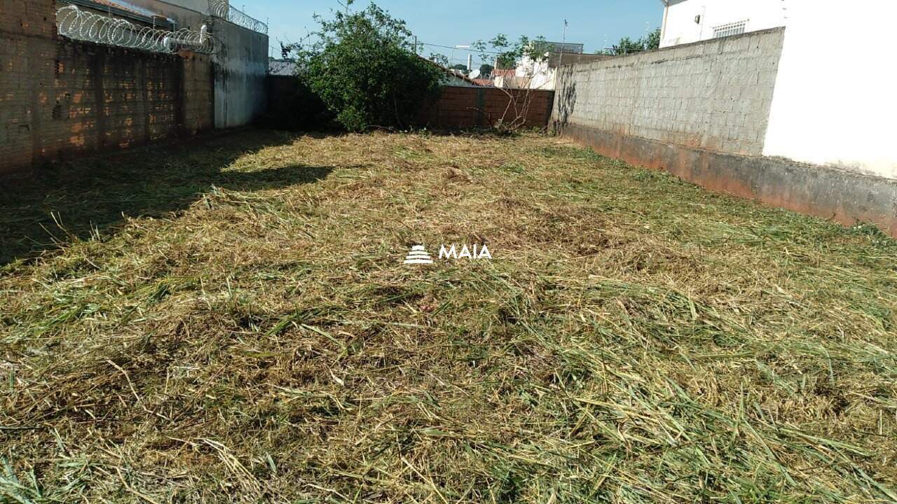 Terreno/Área à venda no Jardim Nenê Gomes: 