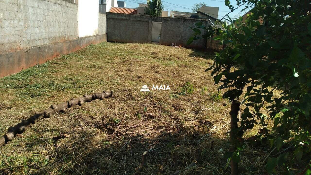 Terreno/Área à venda no Jardim Nenê Gomes: 