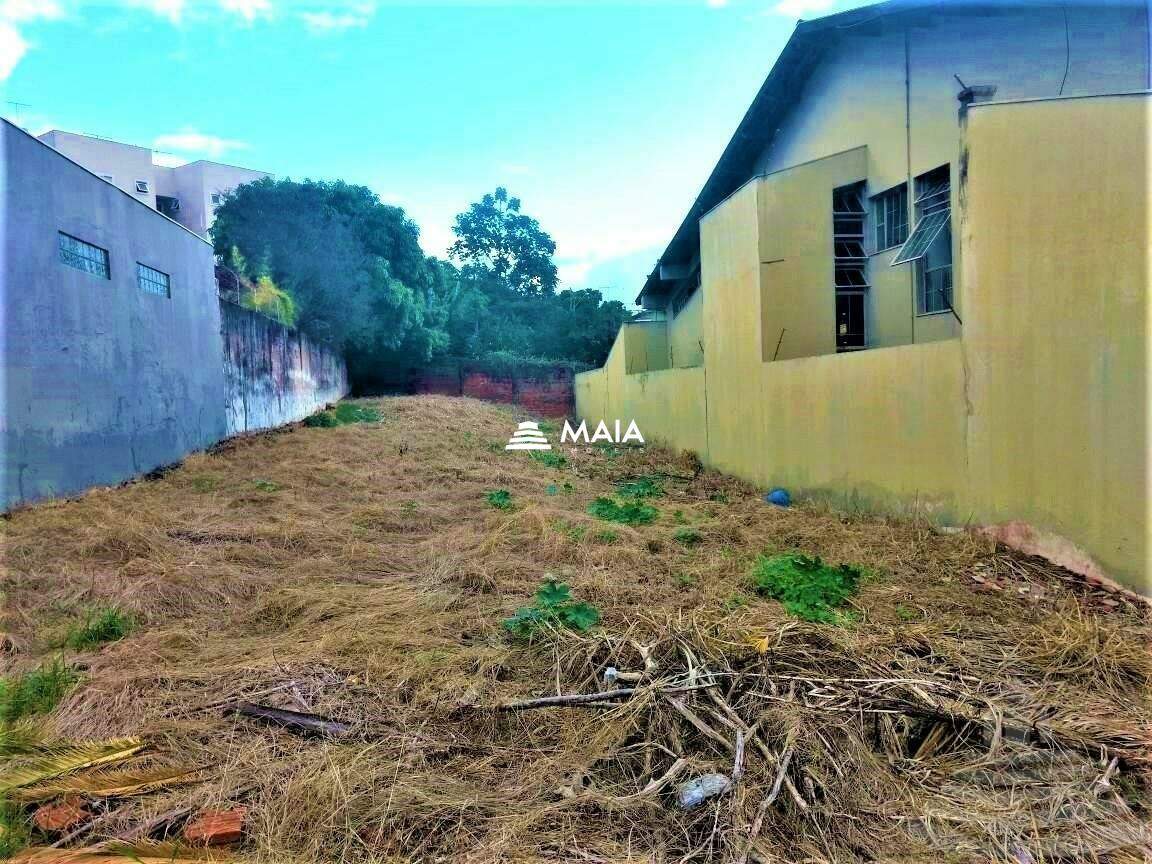 Terreno/Área à venda no Jardim Alexandre Campos: 