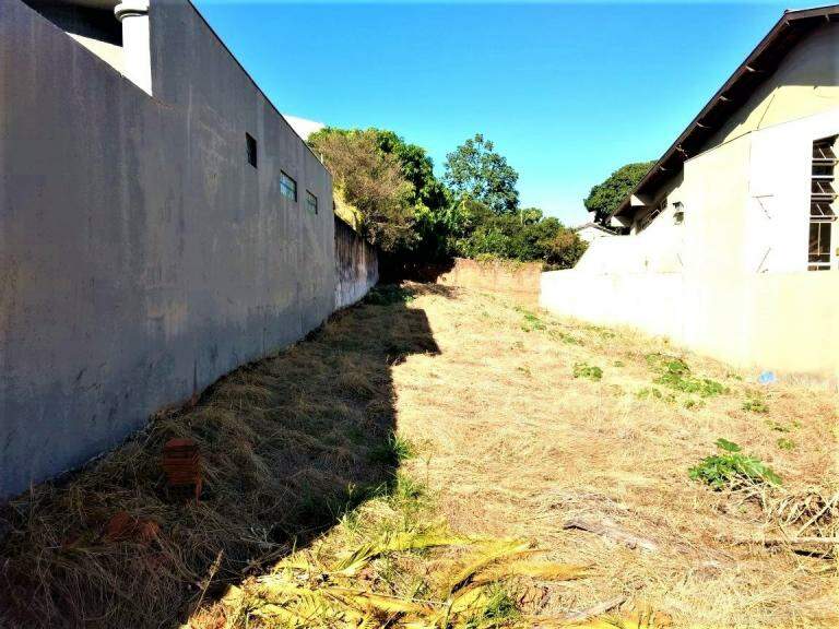Terreno/Área à venda no Jardim Alexandre Campos: 