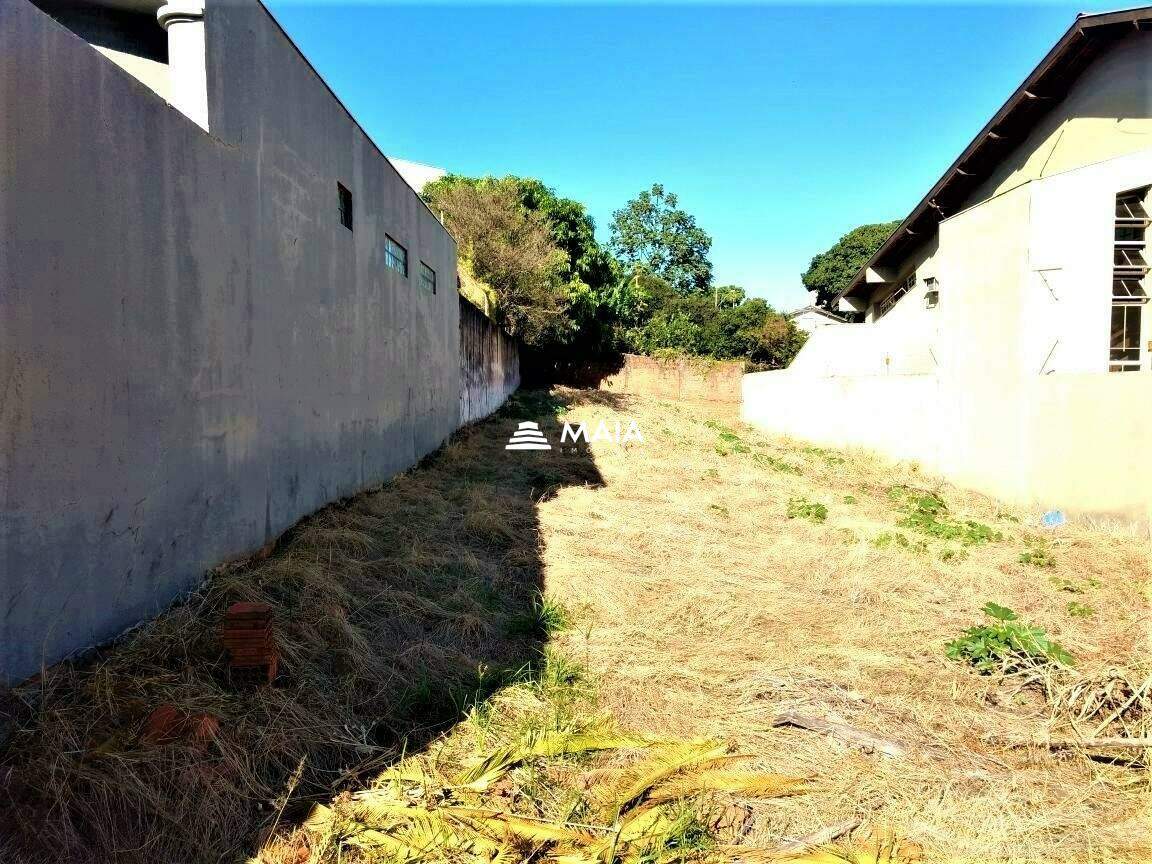 Terreno/Área à venda no Jardim Alexandre Campos: 