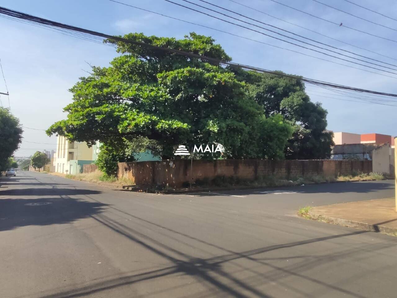 Terreno/Área para aluguel no Santa Maria: 