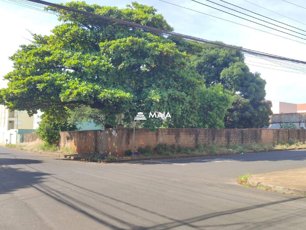 Terreno/Área para aluguel no Santa Maria: 