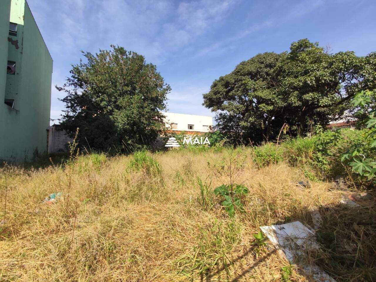 Terreno/Área para aluguel no Santa Maria: 