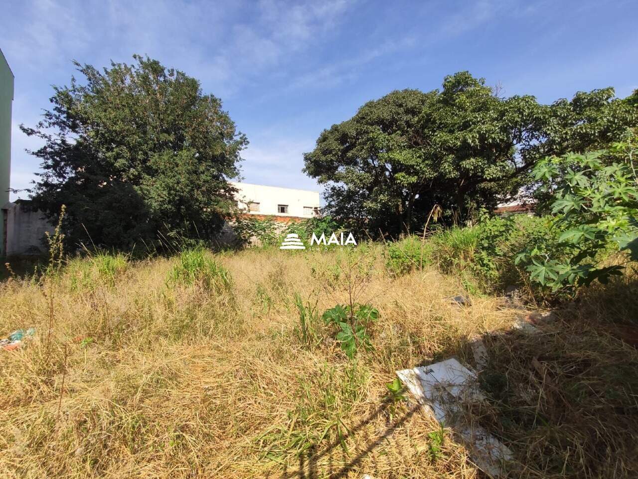 Terreno/Área para aluguel no Santa Maria: 