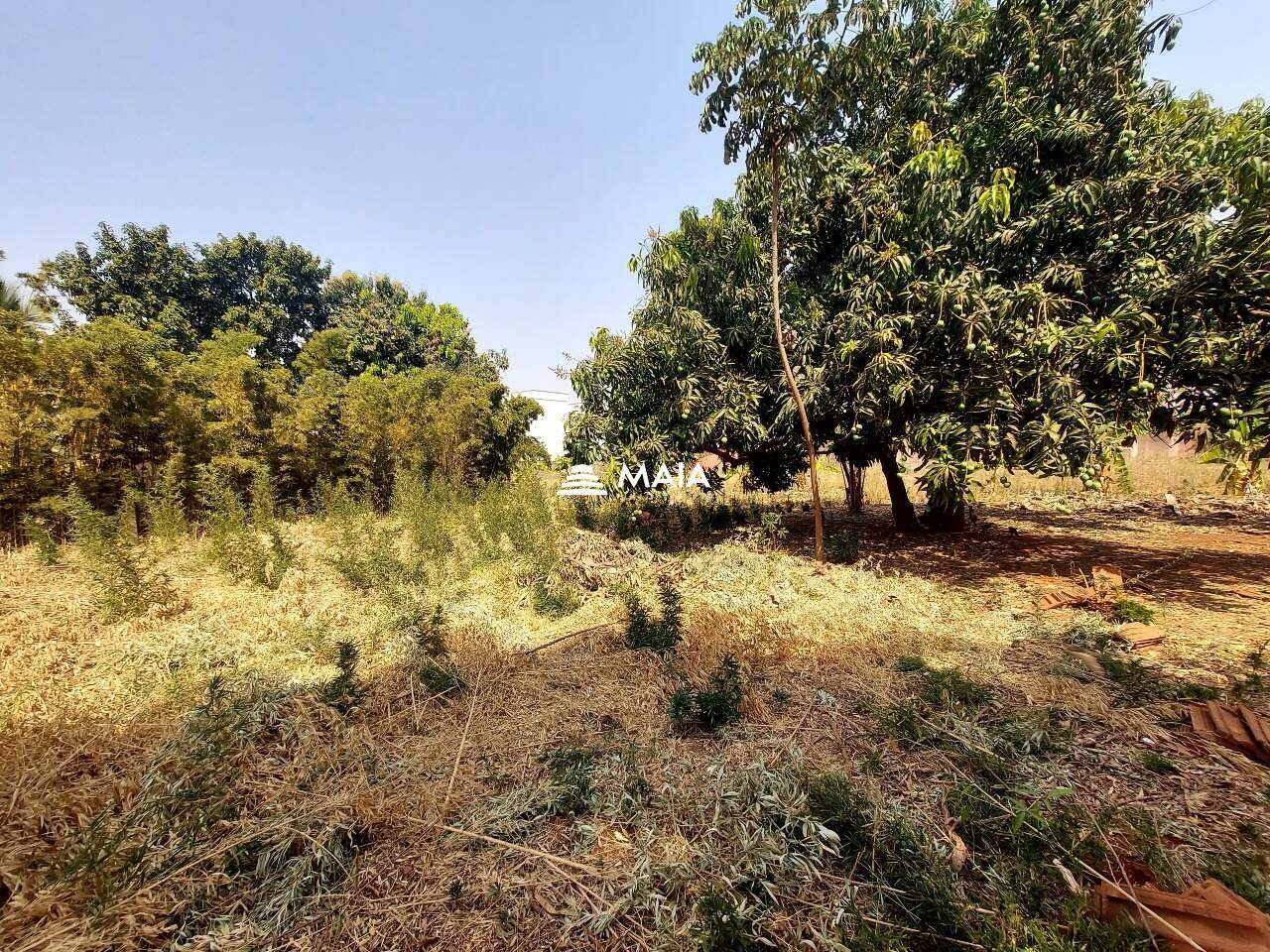 Terreno/Área à venda no Recreio dos Bandeirantes: 