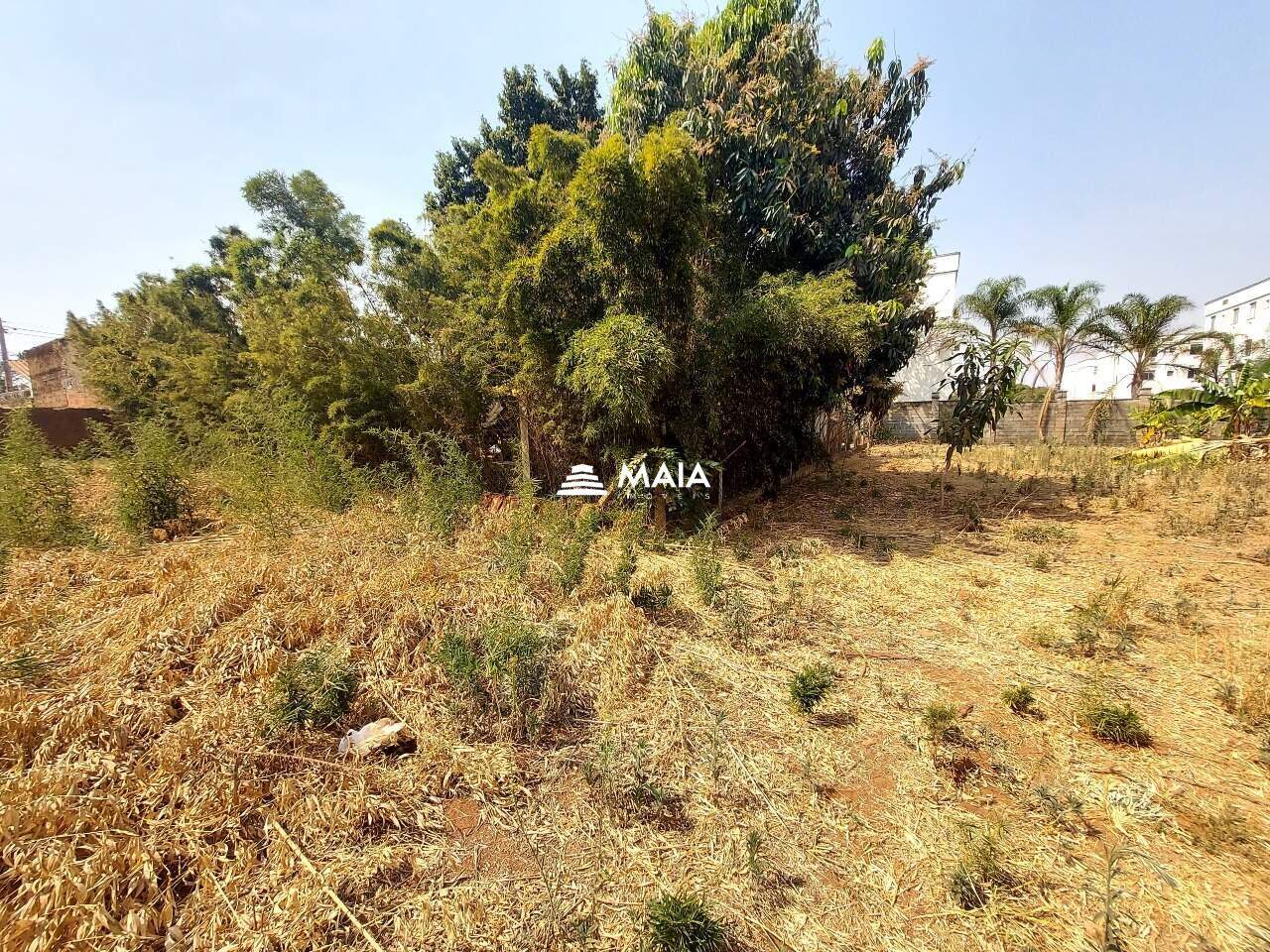 Terreno/Área à venda no Recreio dos Bandeirantes: 