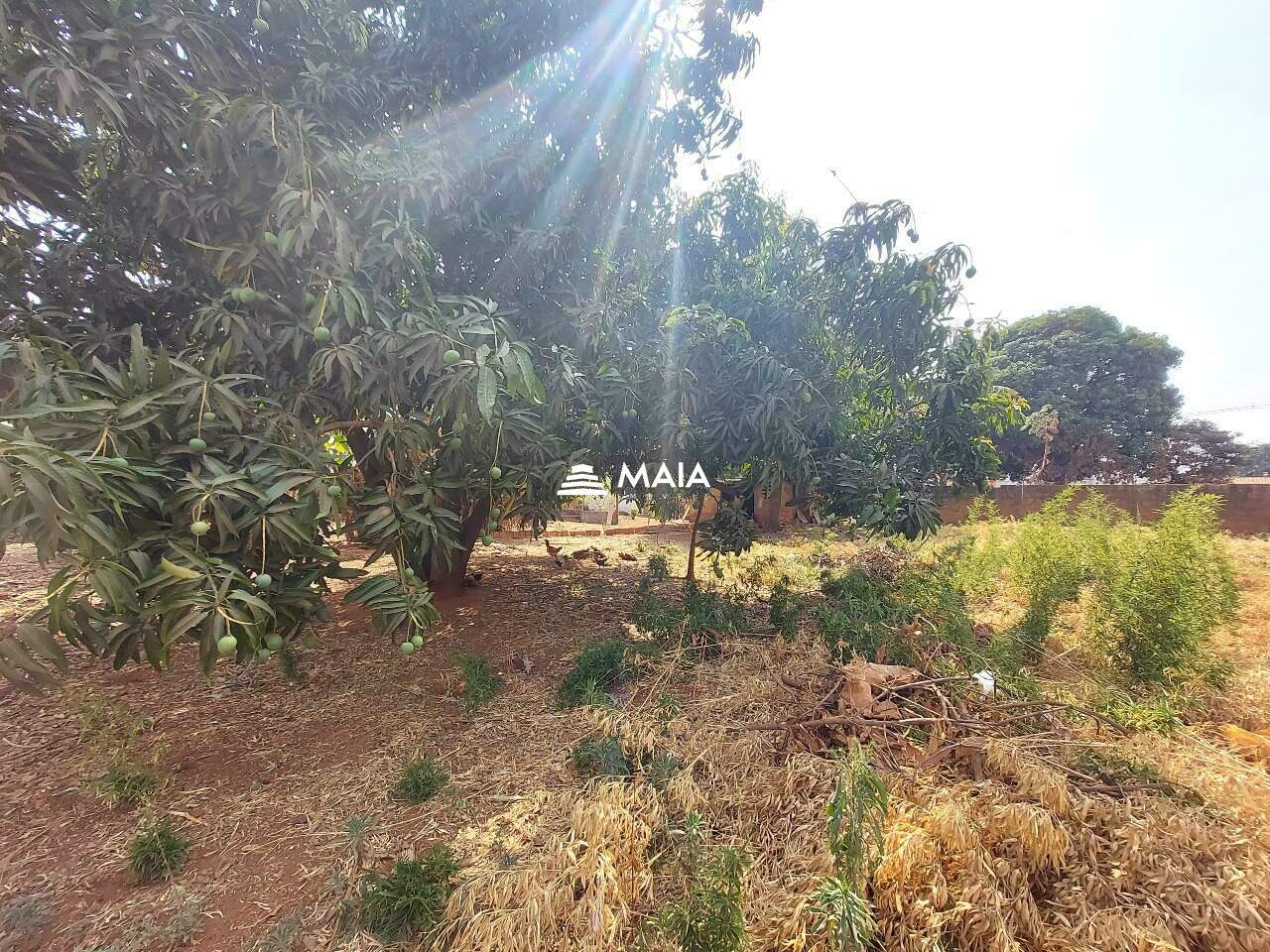 Terreno/Área à venda no Recreio dos Bandeirantes: 