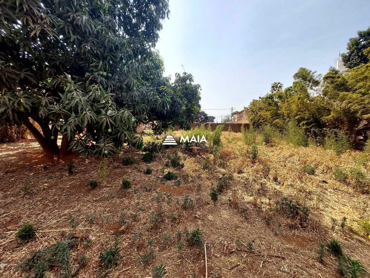 Terreno/Área à venda no Recreio dos Bandeirantes: 