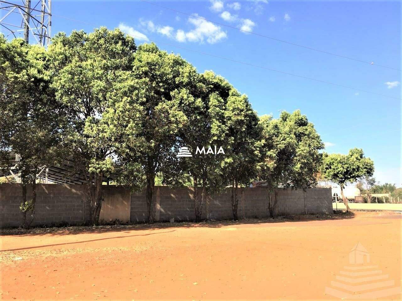 Galpão à venda no Rural: 