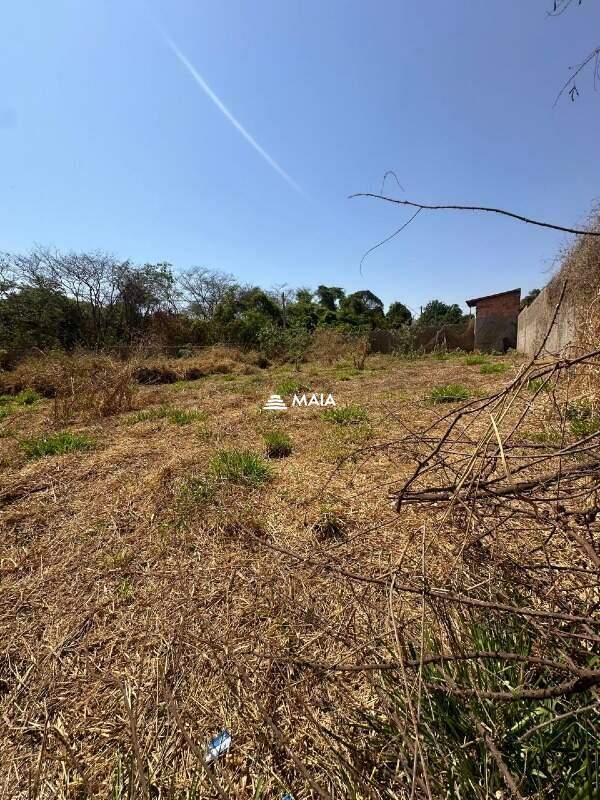 Terreno/Área à venda no Jardim Nenê Gomes: 