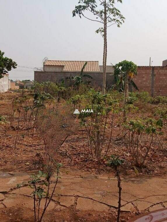 Terreno à venda no bairro Laranjeiras 