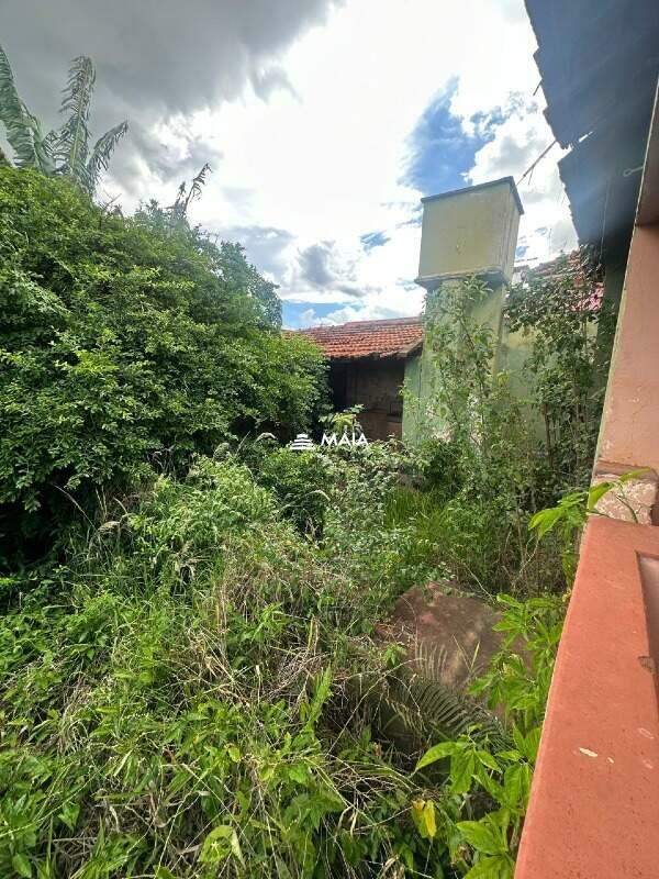 Terreno/Área à venda no São Benedito: 