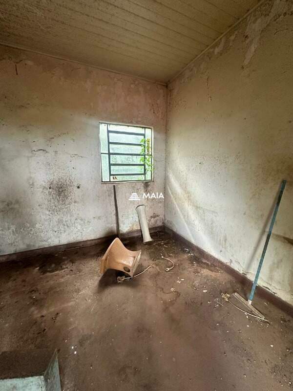 Terreno/Área à venda no São Benedito: 