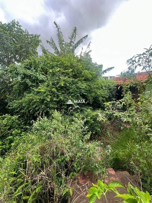 Terreno/Área à venda no São Benedito: 