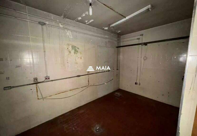 Galpão para aluguel no São Benedito: 