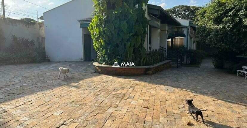 Rancho/ Chácara/ Rural à venda no Lourdes: 