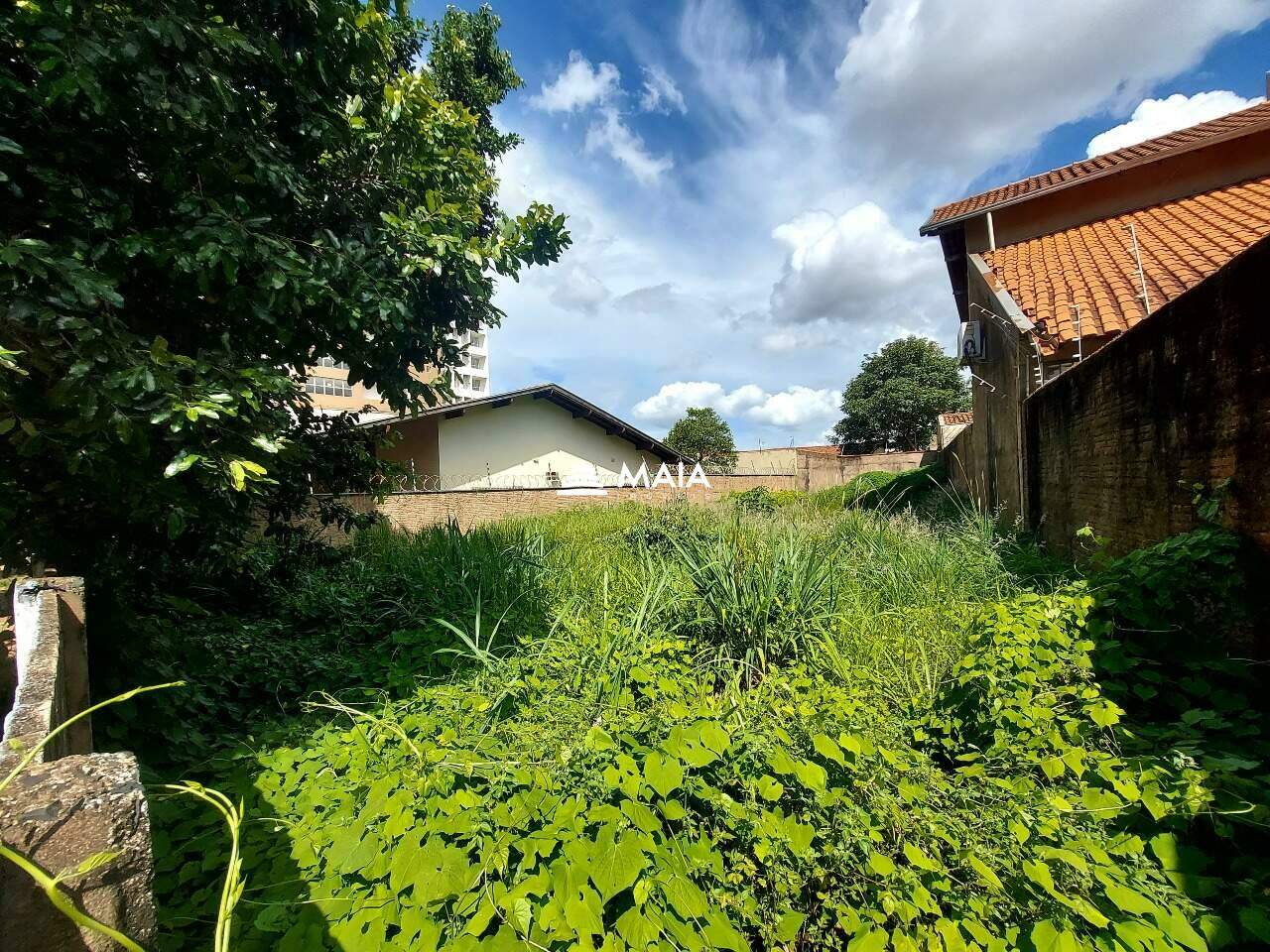 Terreno/Área à venda no Santos Dumont: 