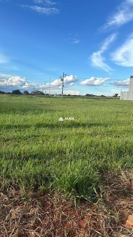 Terreno/Área à venda no Parque das Laranjeiras: 