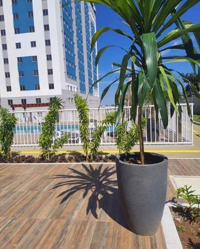 Apartamento para aluguel no Paraíso: 