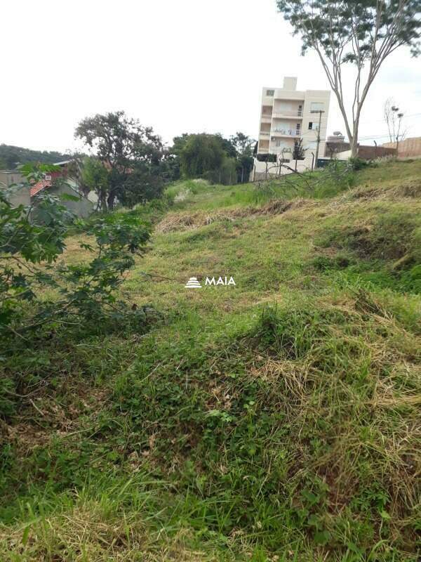 Terreno/Área para aluguel no Jardim São Bento: 