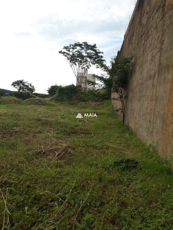 Terreno/Área para aluguel no Jardim São Bento: 