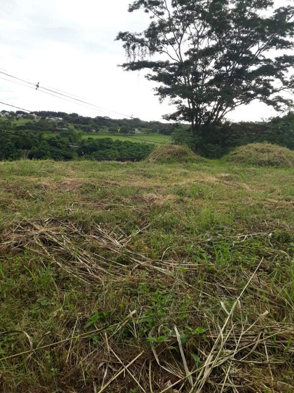 Terreno/Área para aluguel no Jardim São Bento: 