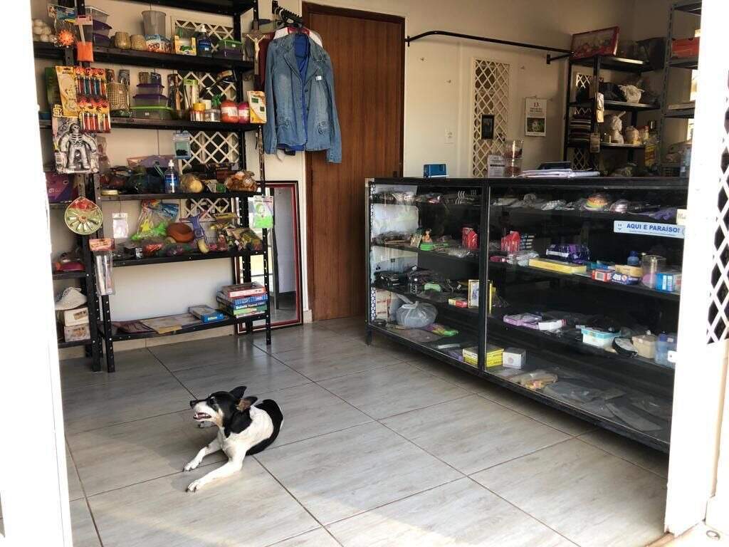 Casa à venda no Parque das Américas: 