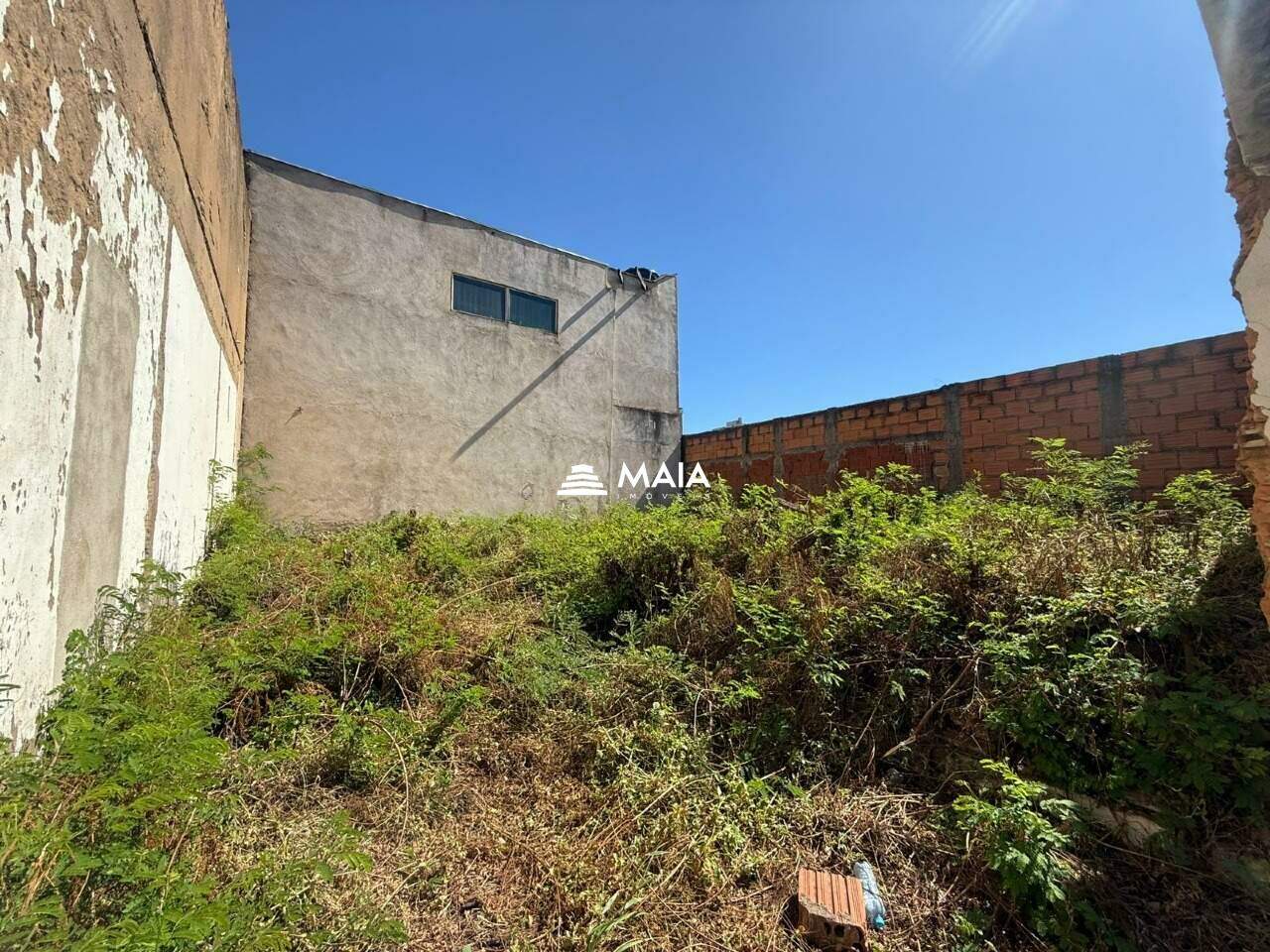 Galpão à venda no Lourdes: 