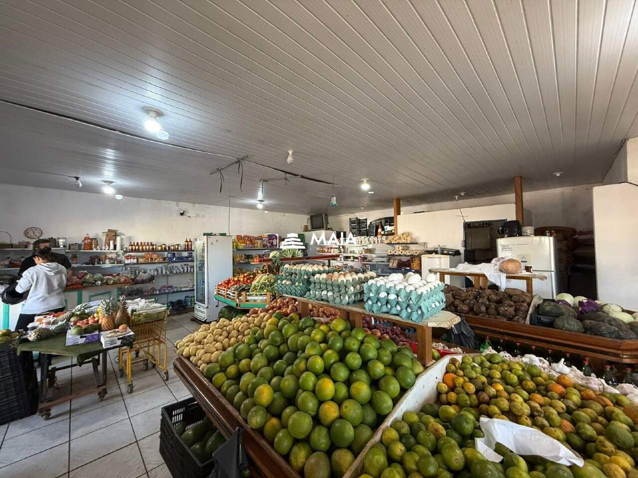 Galpão à venda no Lourdes: 