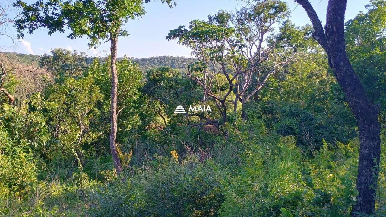 Rancho/ Chácara/ Rural à venda no Santa Rosa: 