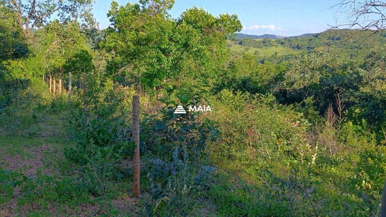 Rancho/ Chácara/ Rural à venda no Santa Rosa: 